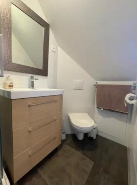Apartment Confort Sevigne . Cesson-Sevigne
